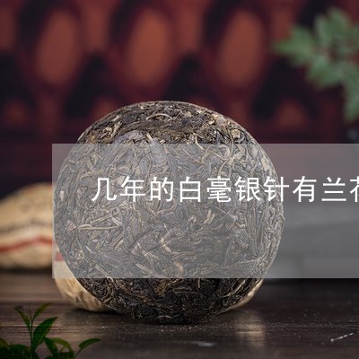 几年的白毫银针有兰花香味/2023040203169