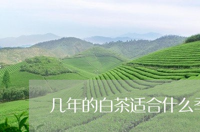 几年的白茶适合什么季节喝/2023040228272