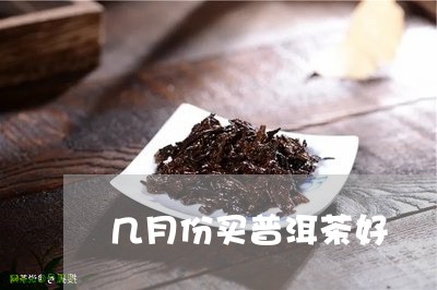 几月份买普洱茶好/2023041343038