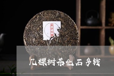 几棵树茶化石多钱/2023032458380