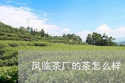 凤临茶厂的茶怎么样/2023041664059