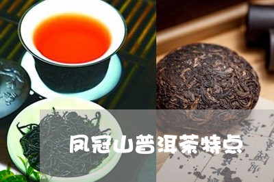 凤冠山普洱茶特点/2023040924735