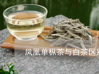 凤凰单枞茶与白茶区别在哪/2023040288472