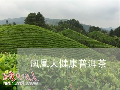 凤凰大健康普洱茶/2023031605140