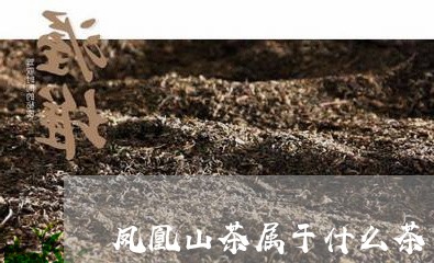 凤凰山茶属于什么茶/2023041674037