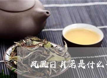 凤凰日月茗是什么茶/2023031913158