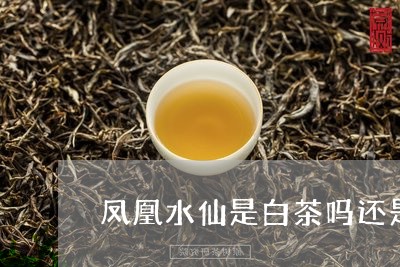 凤凰水仙是白茶吗还是绿茶/2023040287372