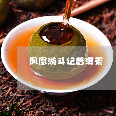 凤凰游斗记普洱茶/2023040141834