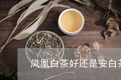 凤凰白茶好还是安白茶好/2023040233826