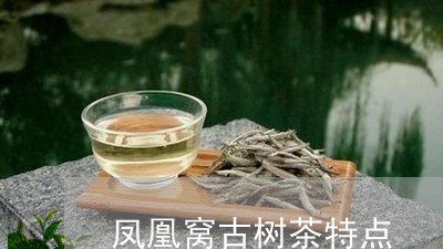 凤凰窝古树茶特点/2023032603816