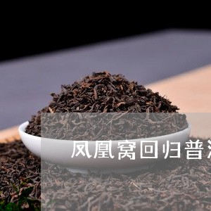 凤凰窝回归普洱茶/2023041372947