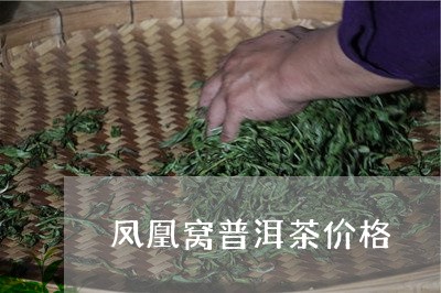 凤凰窝普洱茶价格/2023041223937