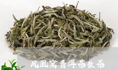 凤凰窝普洱茶生茶/2023041168503