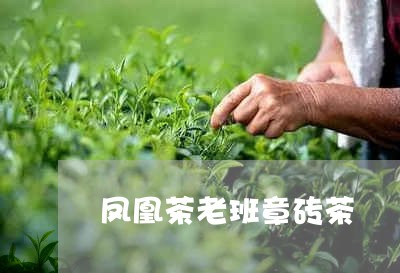 凤凰茶老班章砖茶/2023032977437