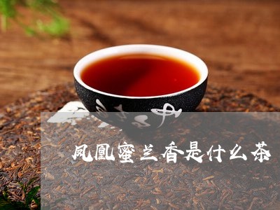 凤凰蜜兰香是什么茶/2023041595047