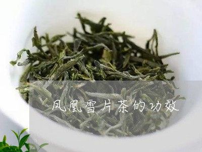 凤凰雪片茶的功效/2023032527160