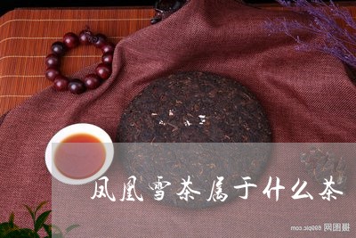 凤凰雪茶属于什么茶/2023041572294