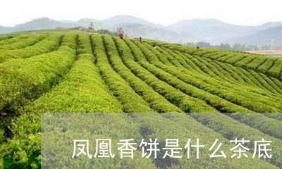 凤凰香饼是什么茶底/2023032039292