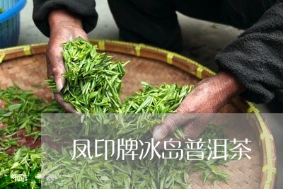 凤印牌冰岛普洱茶/2023041334948