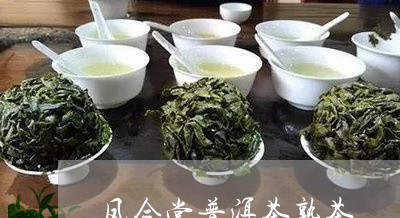 凤合堂普洱茶熟茶/2023031640603