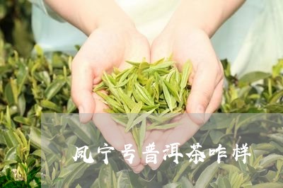 凤宁号普洱茶咋样/2023040150505