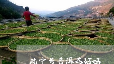 凤宁号普洱茶好吗/2023040145937