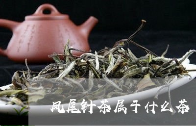 凤尾针茶属于什么茶/2023041502624