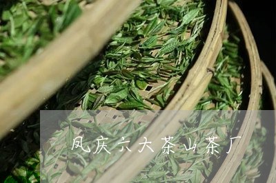 凤庆六大茶山茶厂/2023032447050