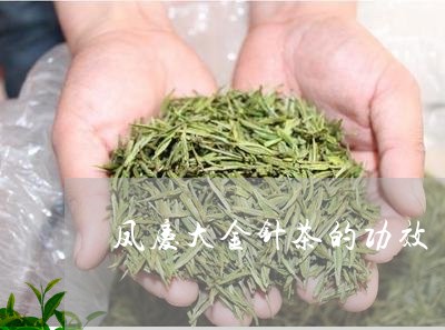 凤庆大金针茶的功效/2023032150036