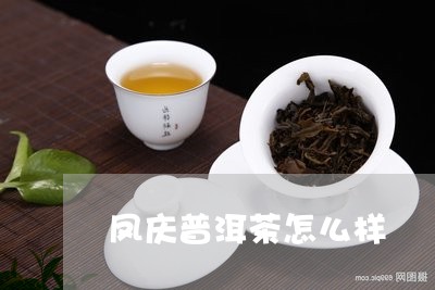 凤庆普洱茶怎么样/2023031661703