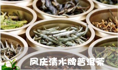 凤庆清水牌普洱茶/2023041103169