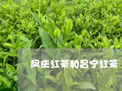 凤庆红茶和昌宁红茶/2023041639493