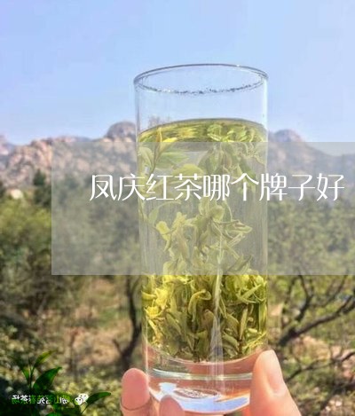 凤庆红茶哪个牌子好/2023032063847