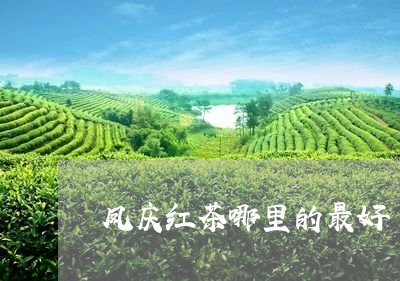 凤庆红茶哪里的最好/2023032051471