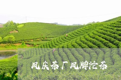 凤庆茶厂凤牌沱茶/2023032547593