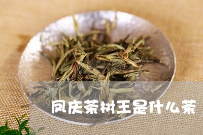 凤庆茶树王是什么茶/2023041654916