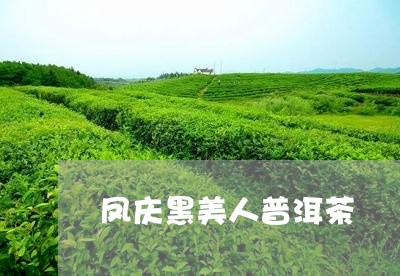 凤庆黑美人普洱茶/2023041260817