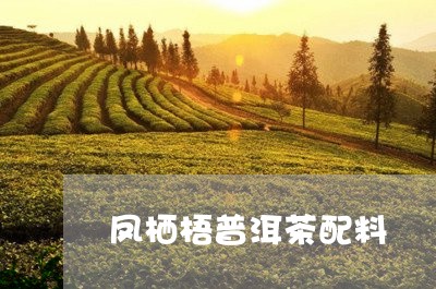 凤栖梧普洱茶配料/2023040189501