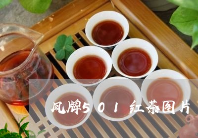 凤牌501红茶图片/2023031882515