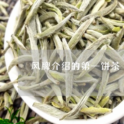 凤牌介绍的第一饼茶/2023041604047