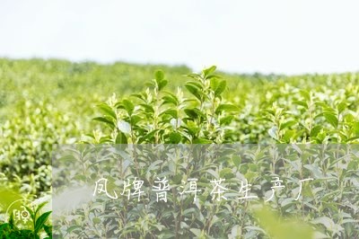 凤牌普洱茶生产厂/2023033150572