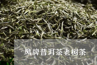 凤牌普洱茶老树茶/2023041138684