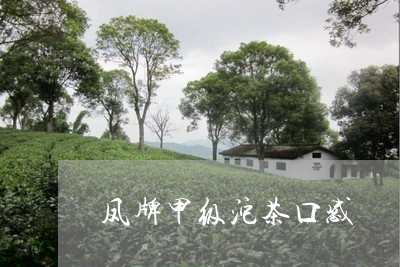 凤牌甲级沱茶口感/2023032418461