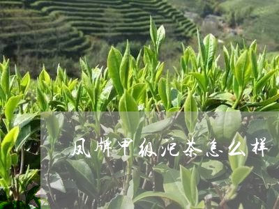 凤牌甲级沱茶怎么样/2023041606169