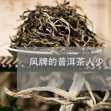 凤牌的普洱茶人少/2023032951506