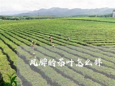 凤牌的茶叶怎么样/2023032717479