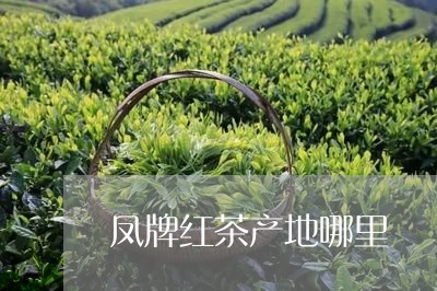 凤牌红茶产地哪里/2023032391816