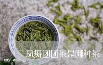 凤舞团团茶是哪种茶/2023041593036