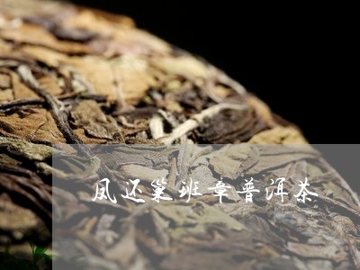 凤还巢班章普洱茶/2023031629372