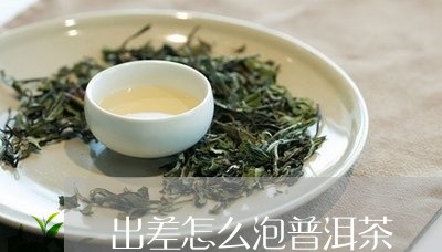 出差怎么泡普洱茶/2023041030391